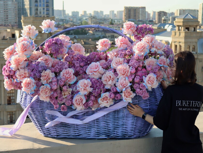 Fifty-one blush spray roses with lilac hydrangeas