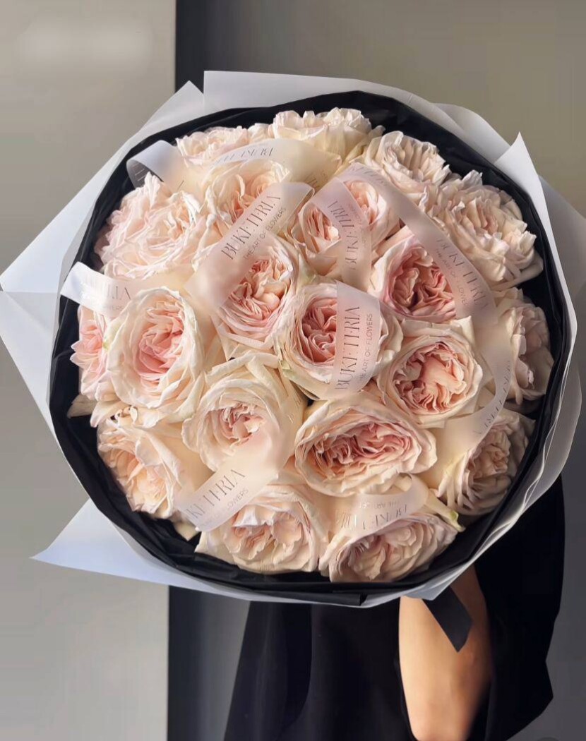 Blush garden roses in waterproof paper