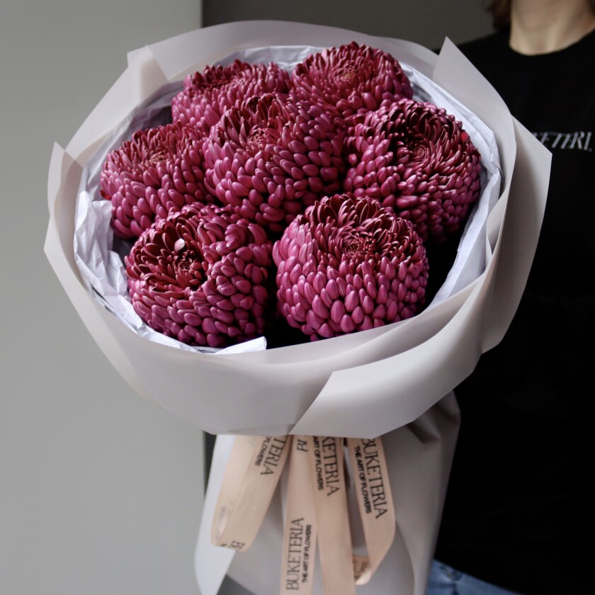 Seven burgundy chrysanthemums in waterproof paper