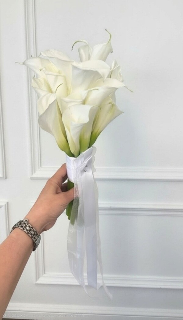 Fifteen white callas with a white ribbon