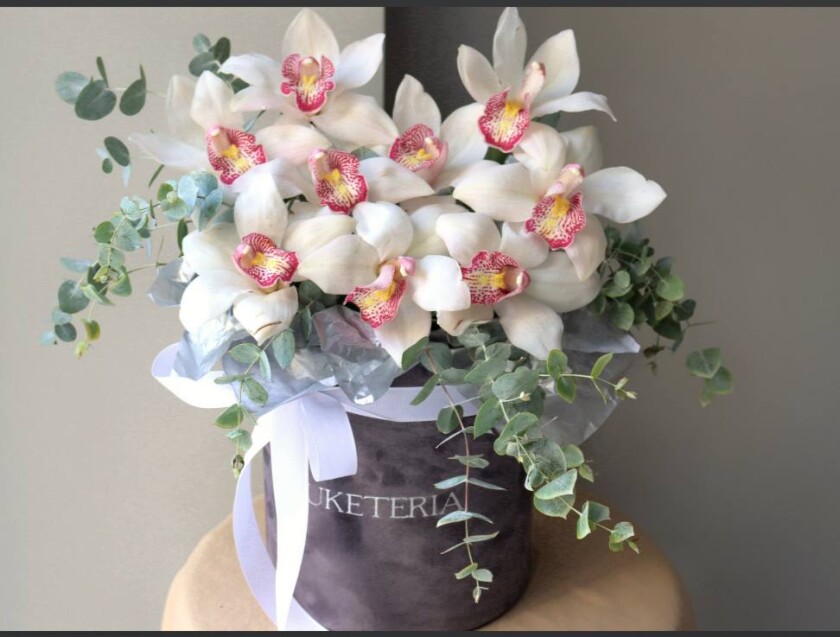 Nine white and pink cymbidium orchids in a box