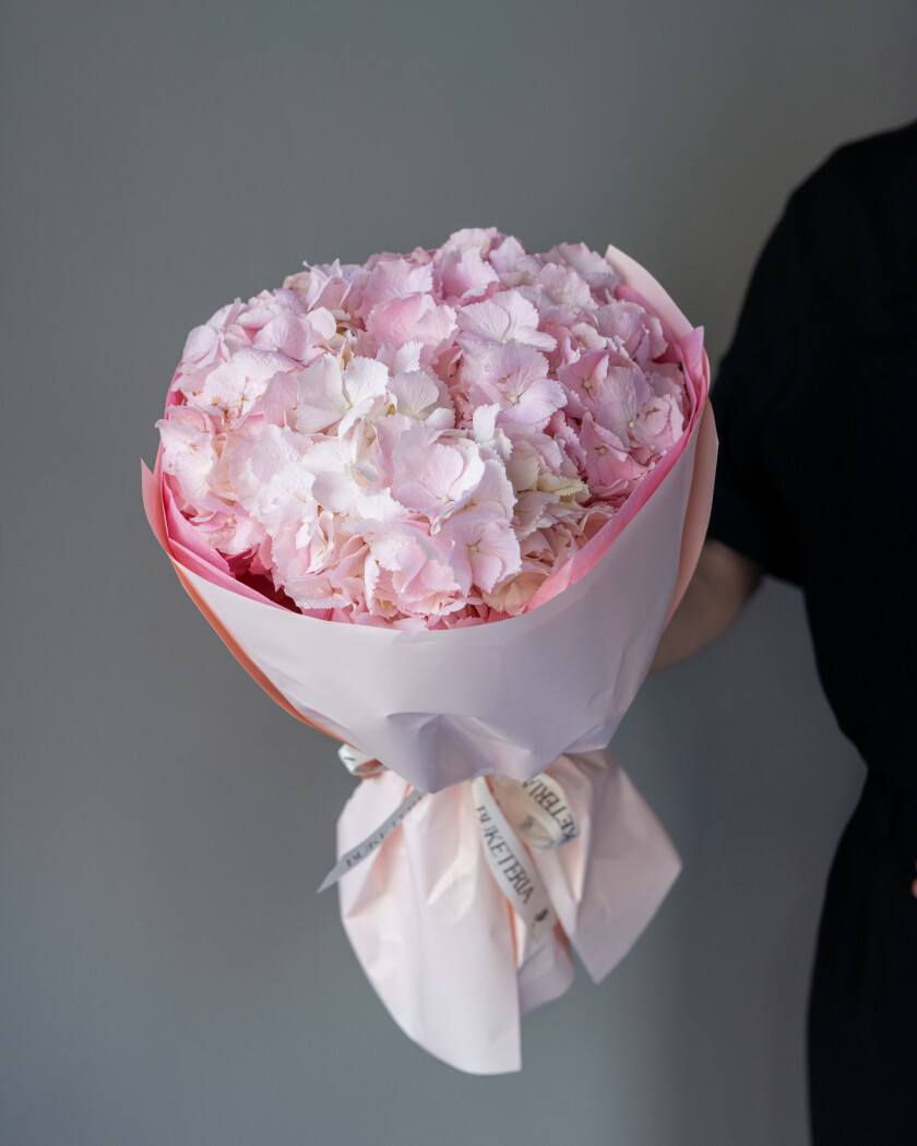 Three pink hydrangeas in waterproof paper