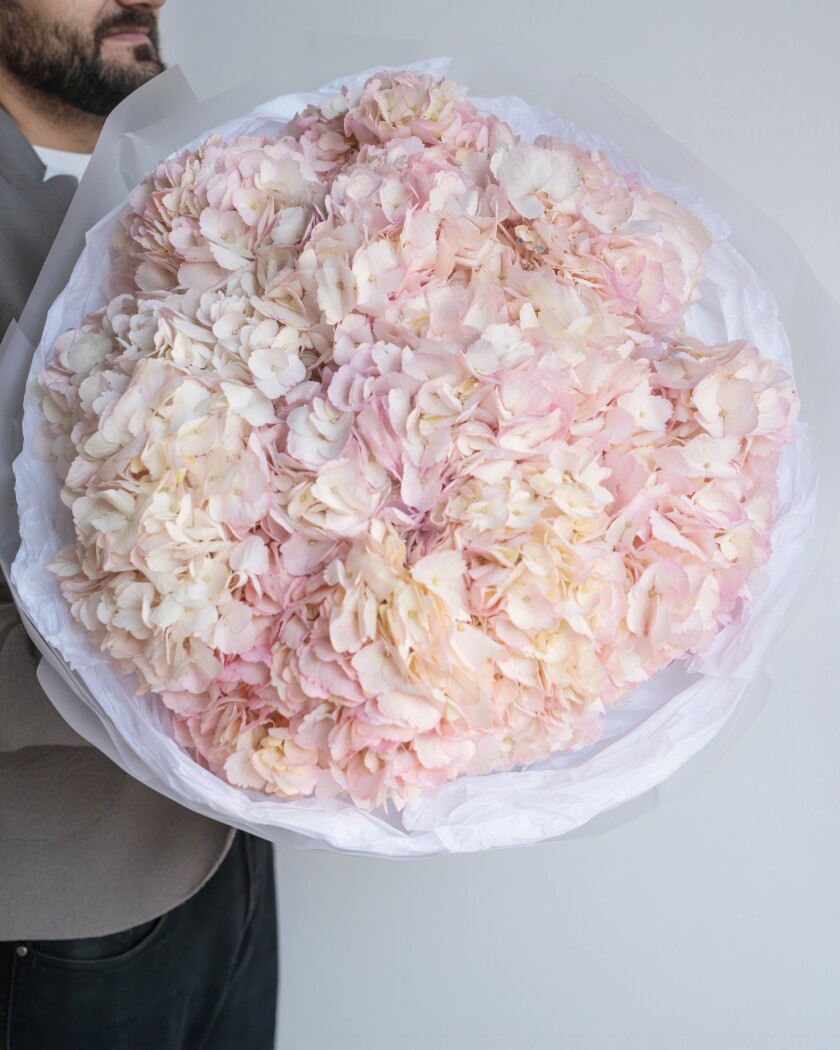 Eleven pink hydrangeas in waterproof paper