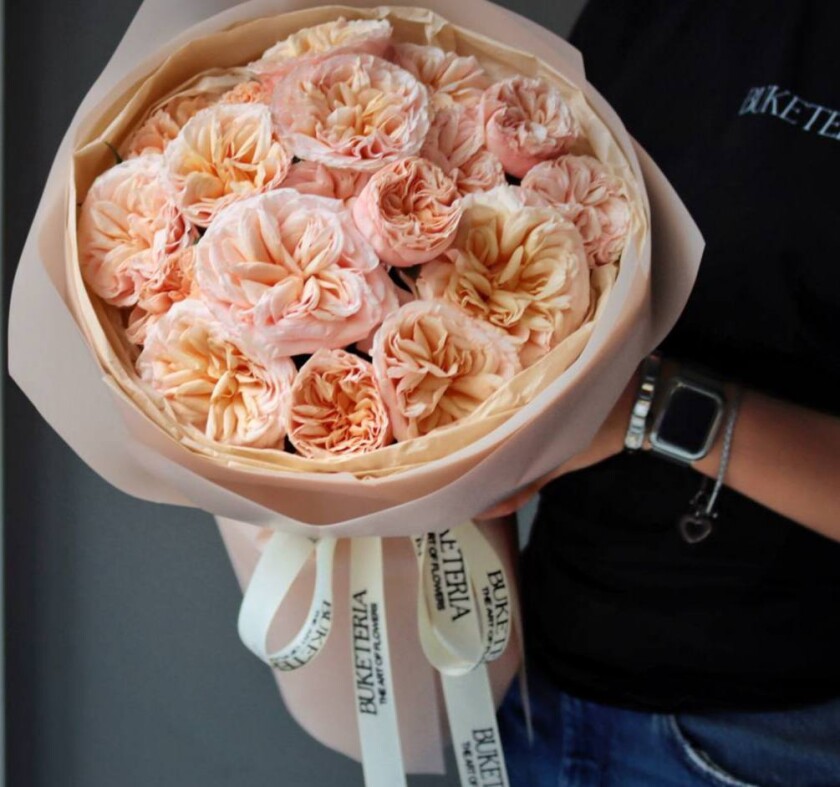 Five peach spray roses in waterproof paper