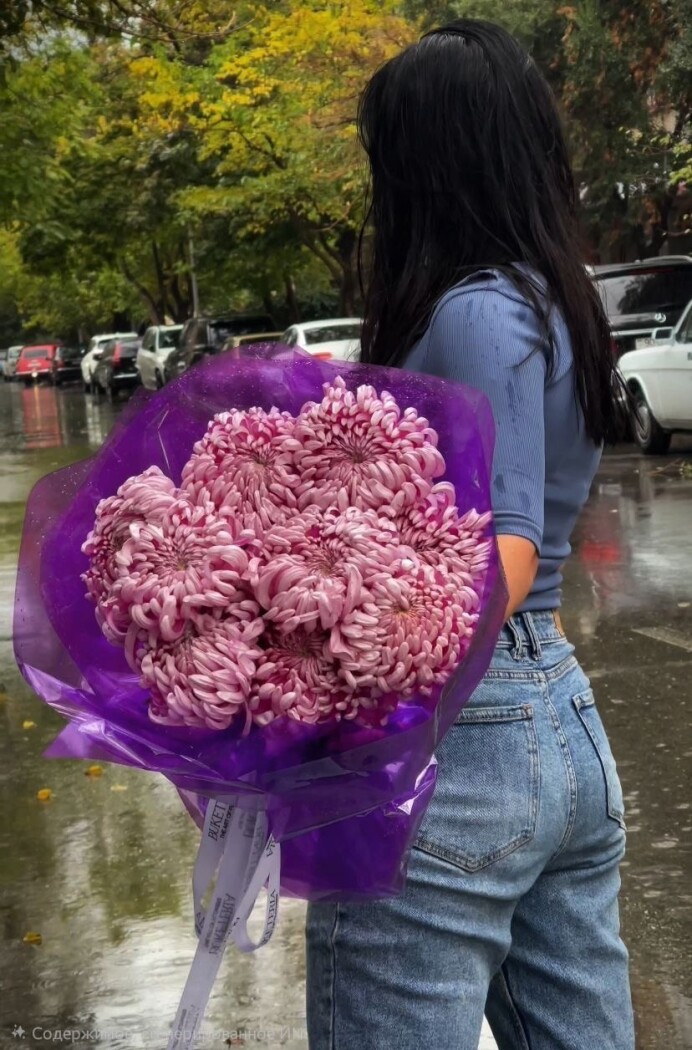 Nine light pink pompon chrysanthemums in waterproof paper
