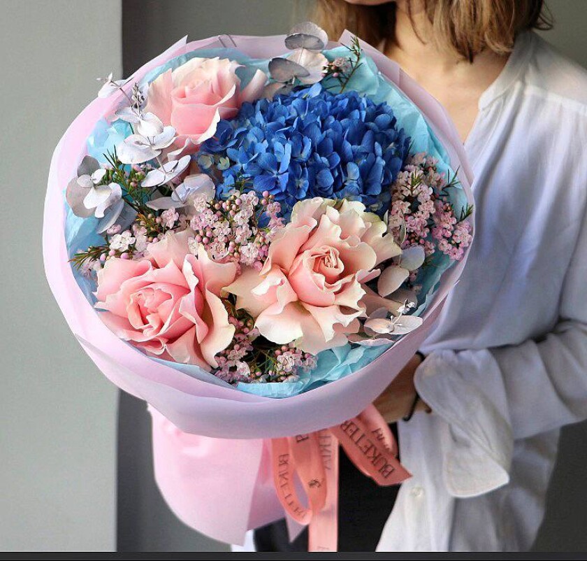 Light pink garden roses with blue hydrangea