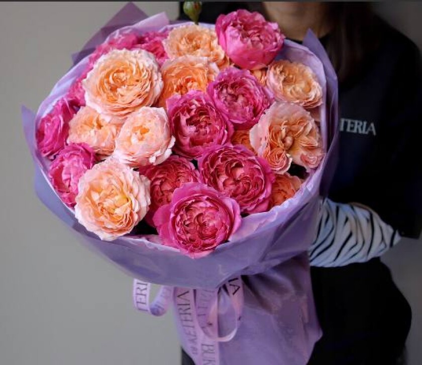 Peach and hot pink spray roses in waterproof paper