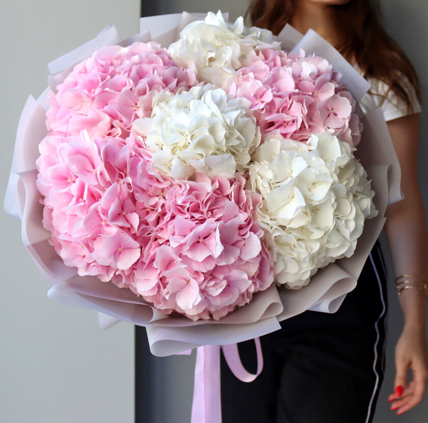 Seven light pink hydrangeas in waterproof paper