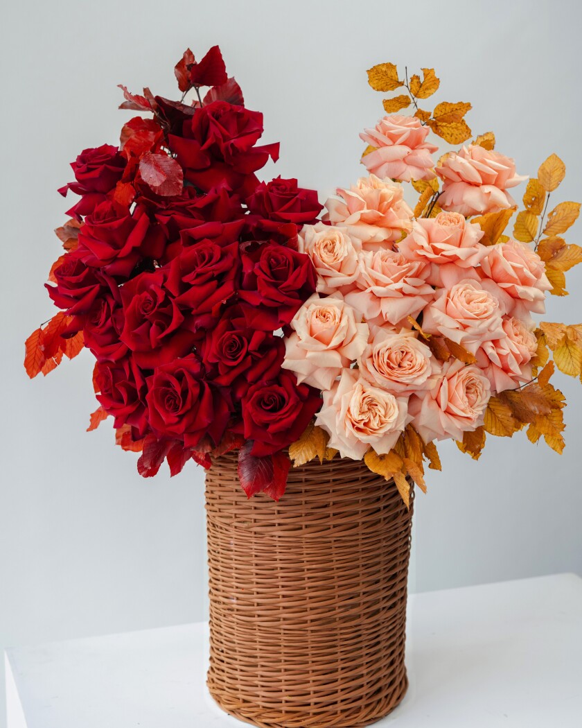 Red hybrid tea roses and peach garden roses in a basket