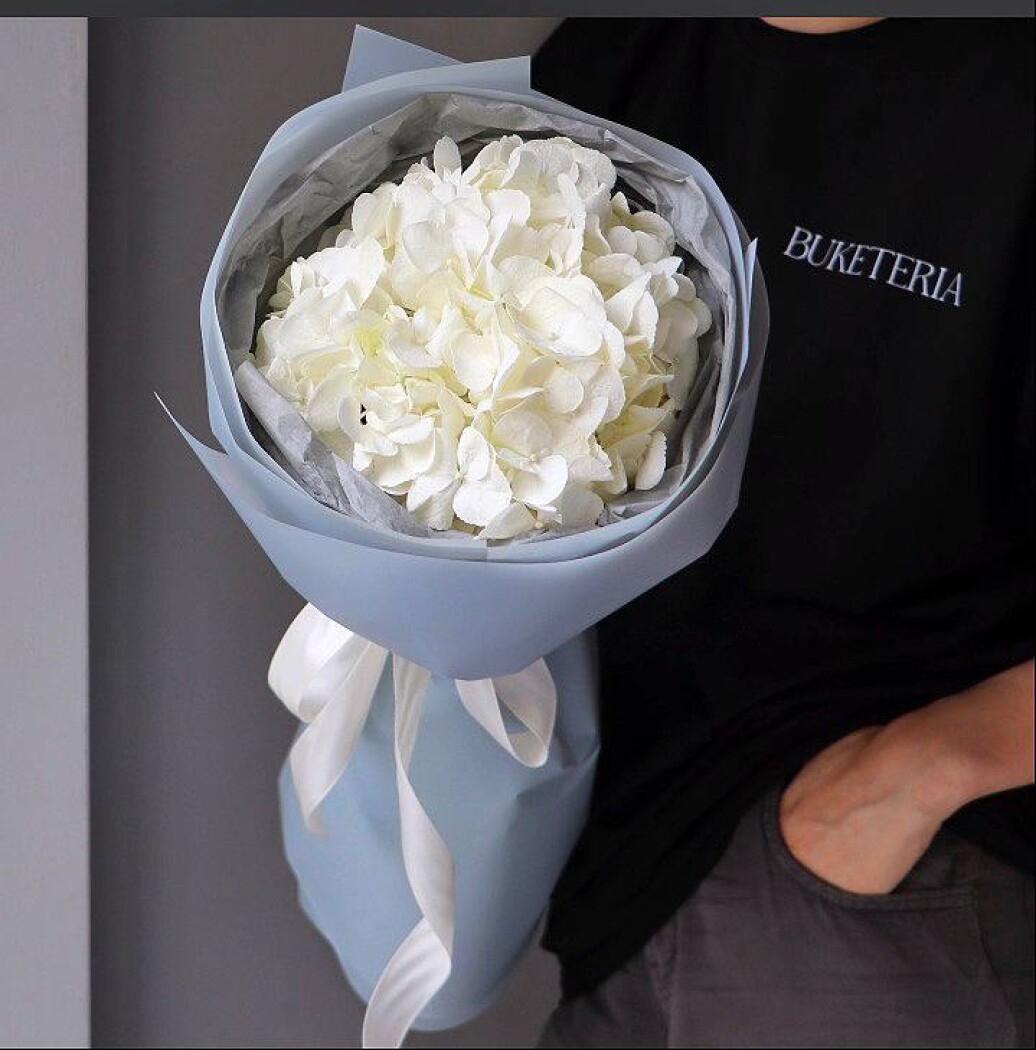 Single white hydrangea in waterproof paper