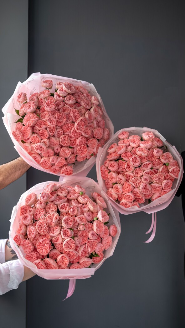 Dusty pink garden roses in waterproof paper