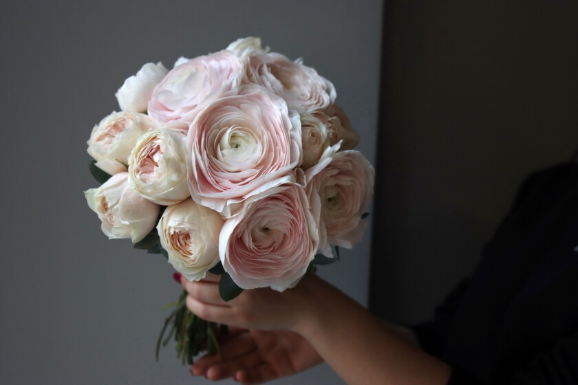 Seven blush ranunculus and four cream spray roses