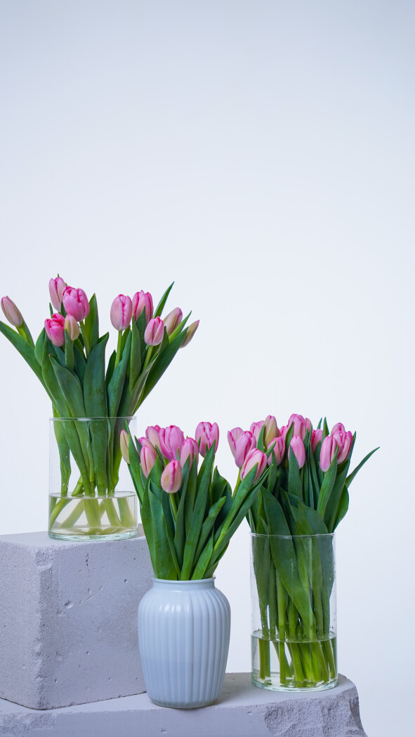 Охапка розовых тюльпанов №387