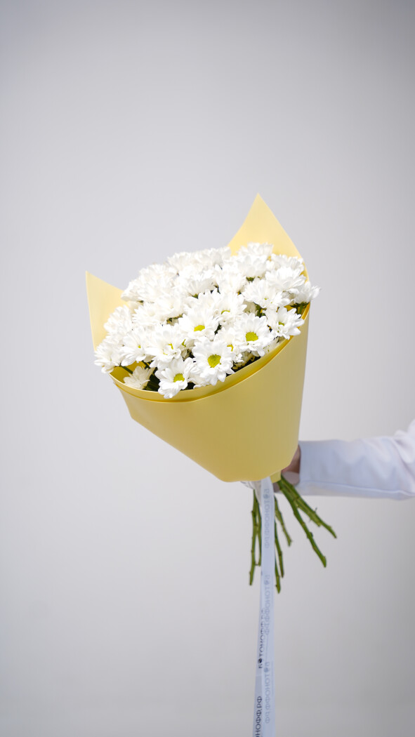 9 белых ромашковых хризантем в оформлении №77