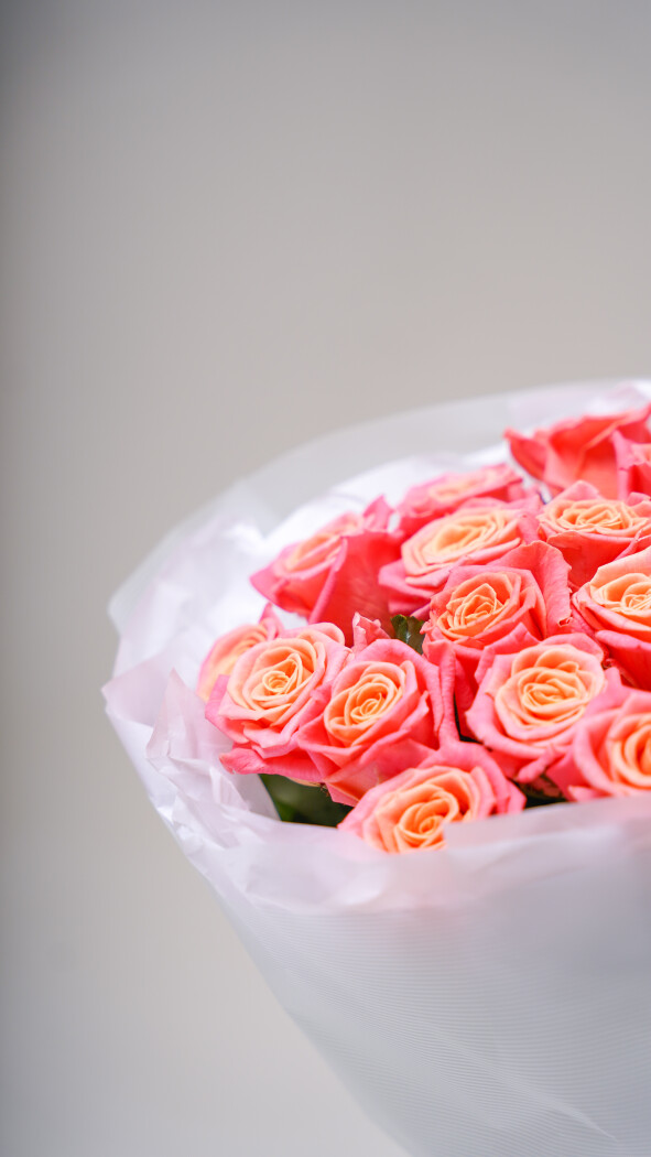 19 коралловых роз в оформлении №237