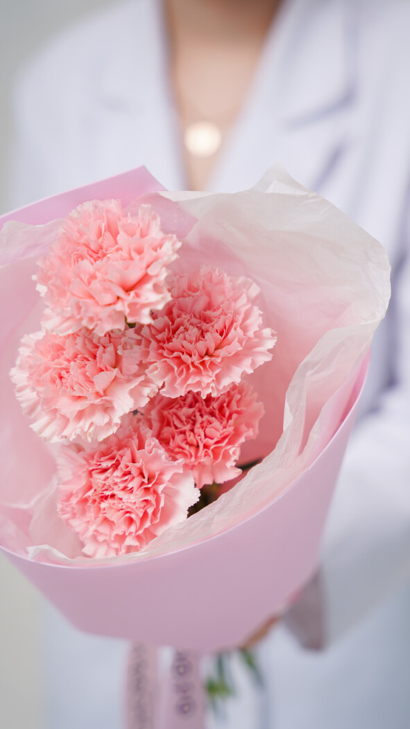 5 розовых диантусов в оформлении №106