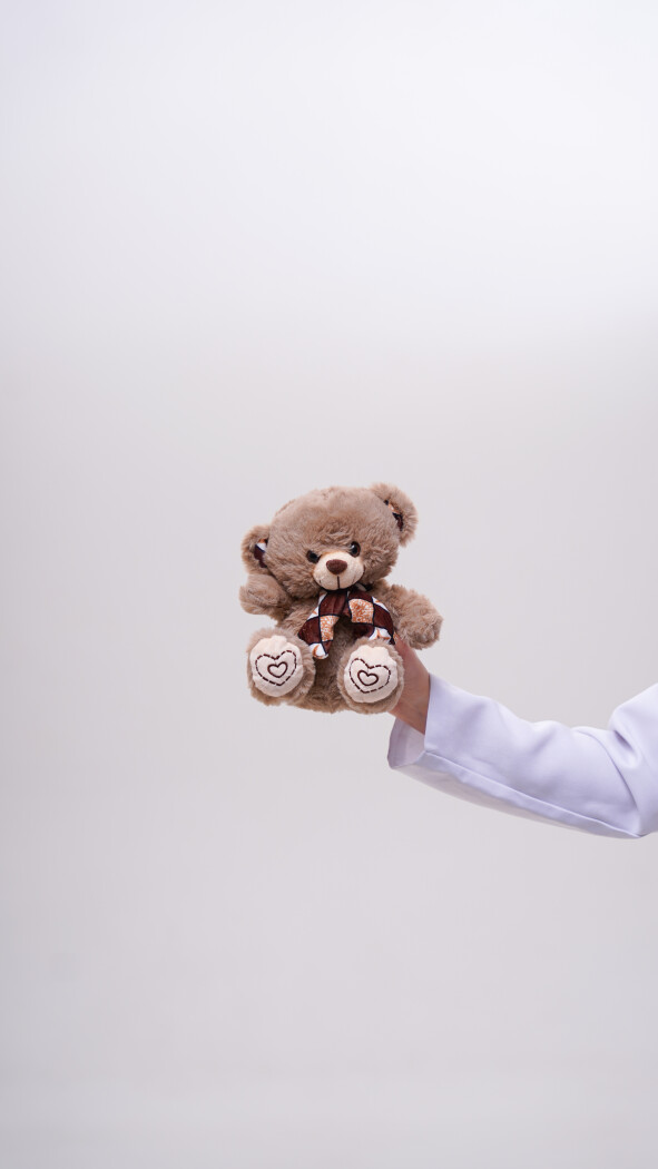 Серый мишка (23см)