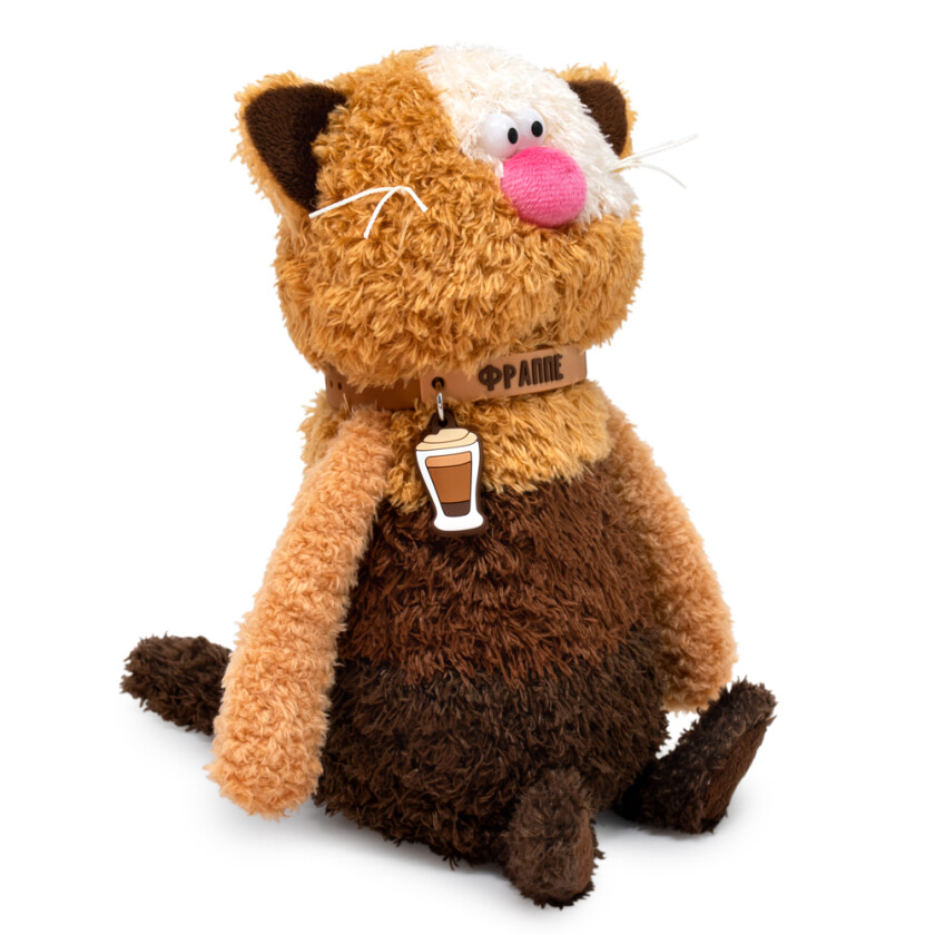 CCat19-20 Фраппе