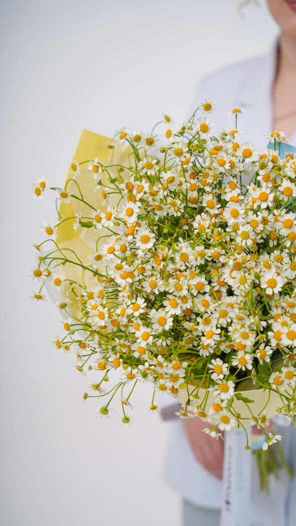 11 ромашек в оформлении №120