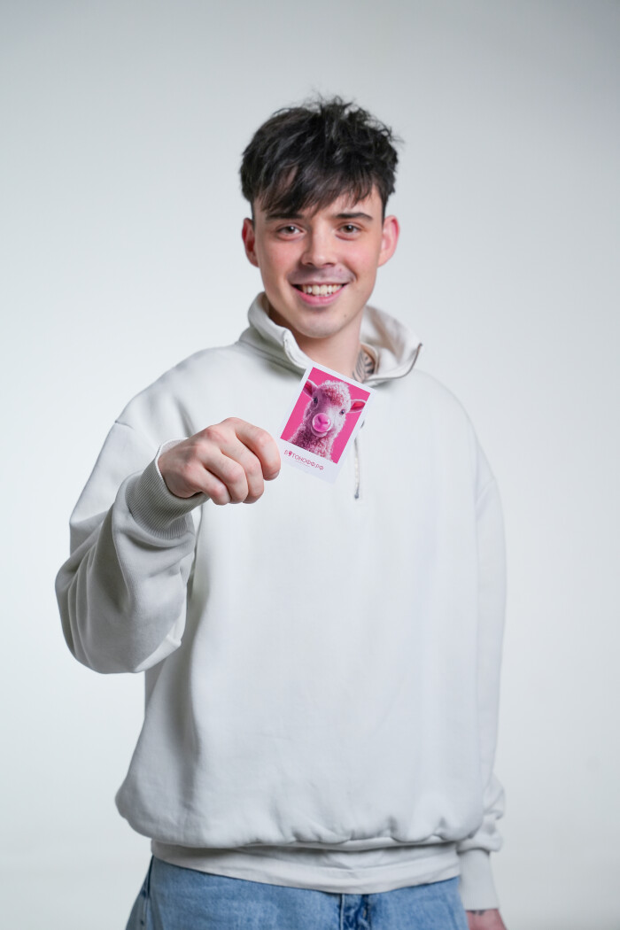 Мини-открытка "Альпака"