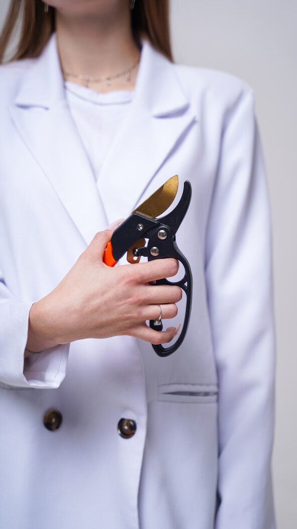 Секатор (садовый)