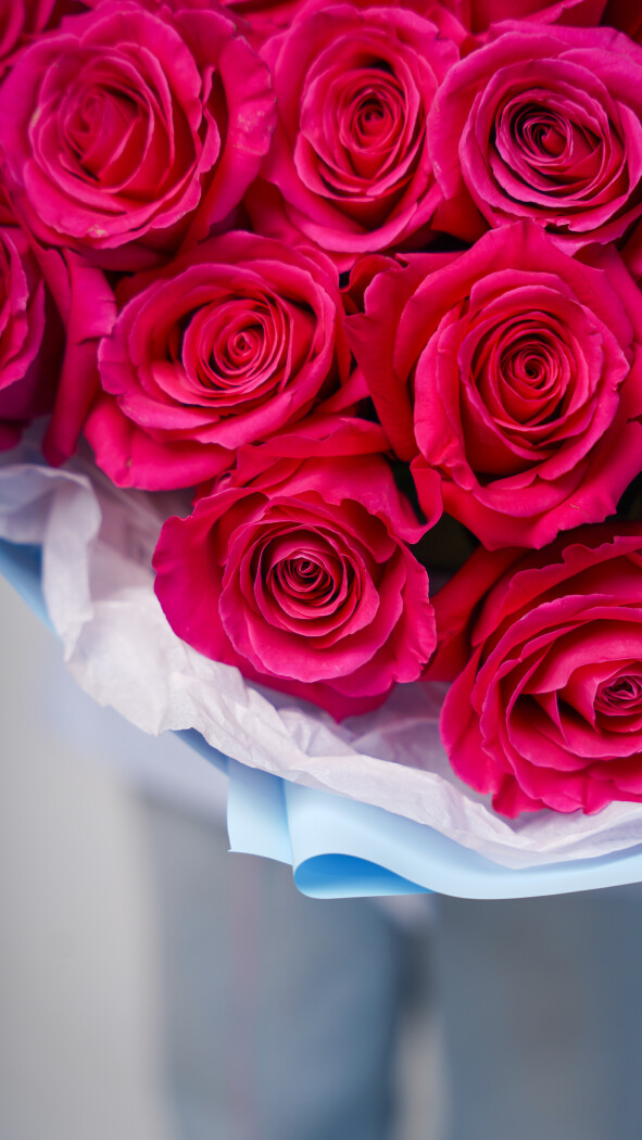 25 малиновых роз в оформлении №67