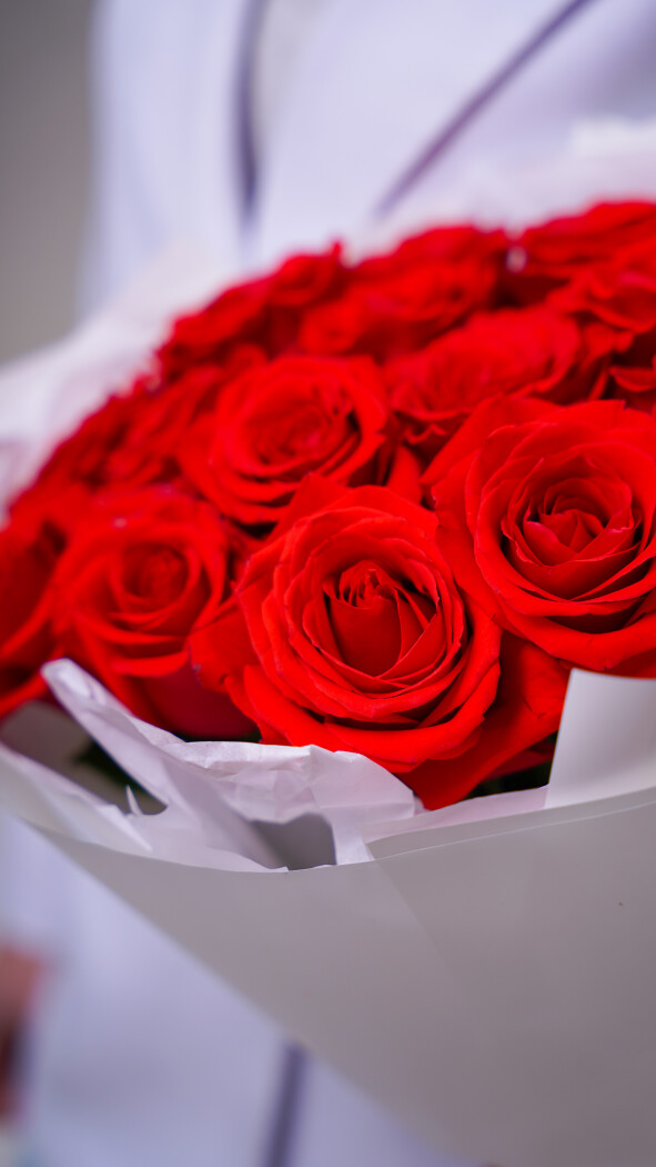 15 алых роз в оформлении №281