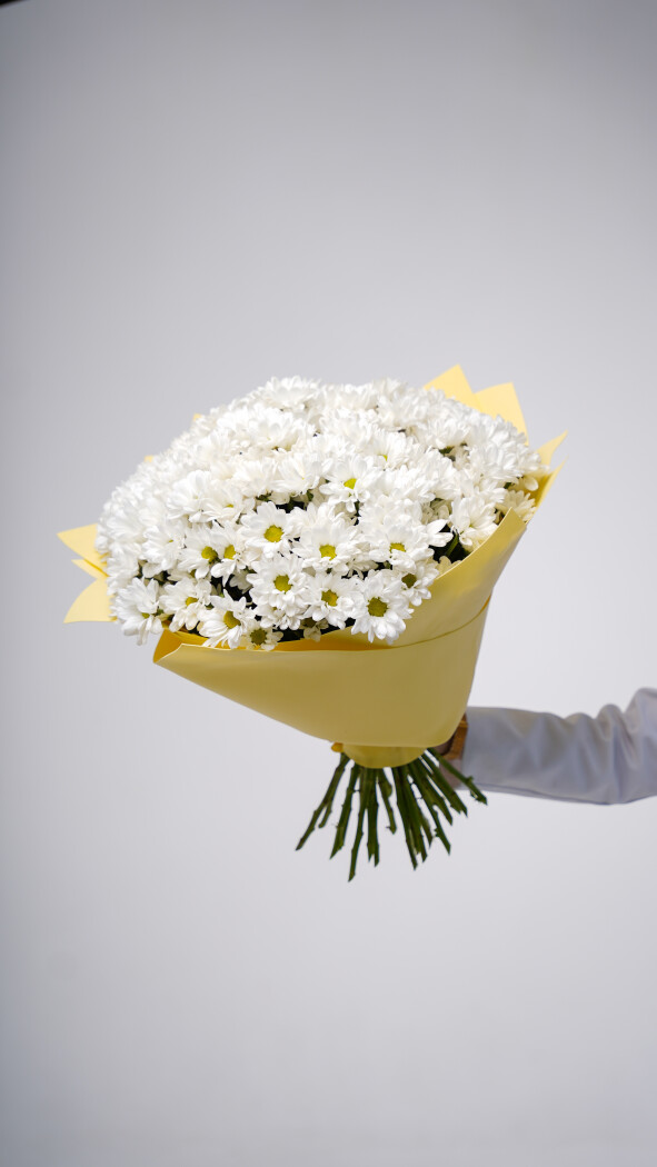 25 белых ромашковых хризантем в оформлении №80