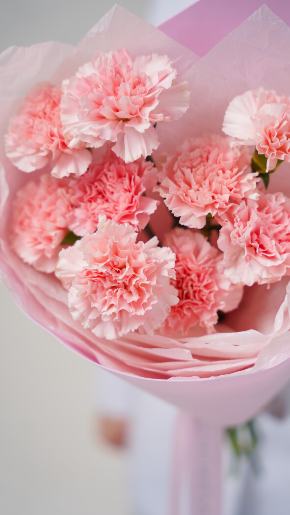 9 розовых диантусов в оформлении №107