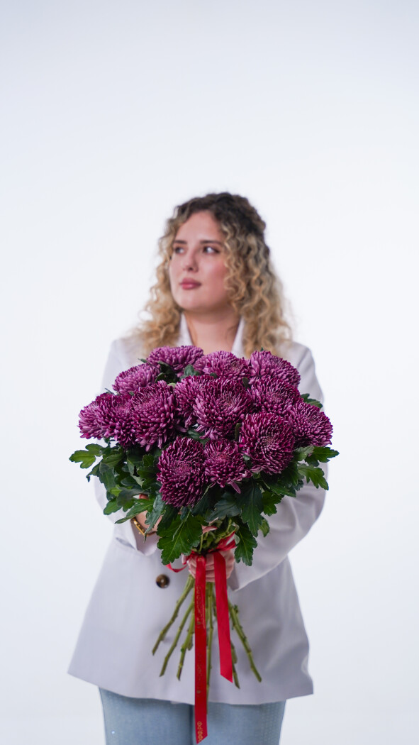 15 фиолетовых хризантем под ленту №423