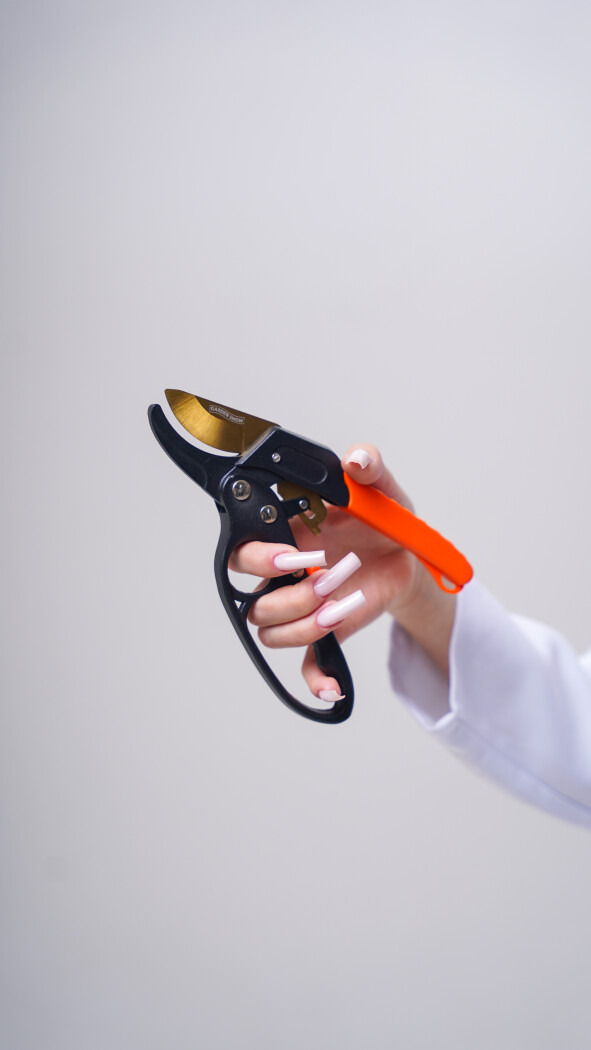 Секатор (садовый)