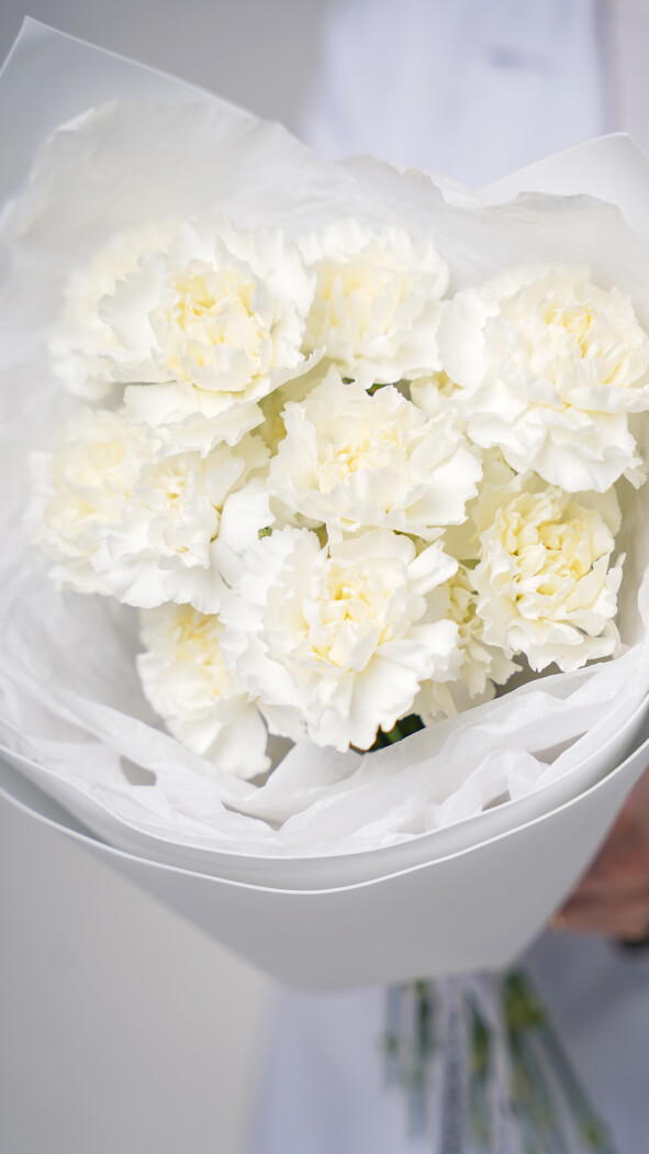 15 белых диантусов в оформлении №103