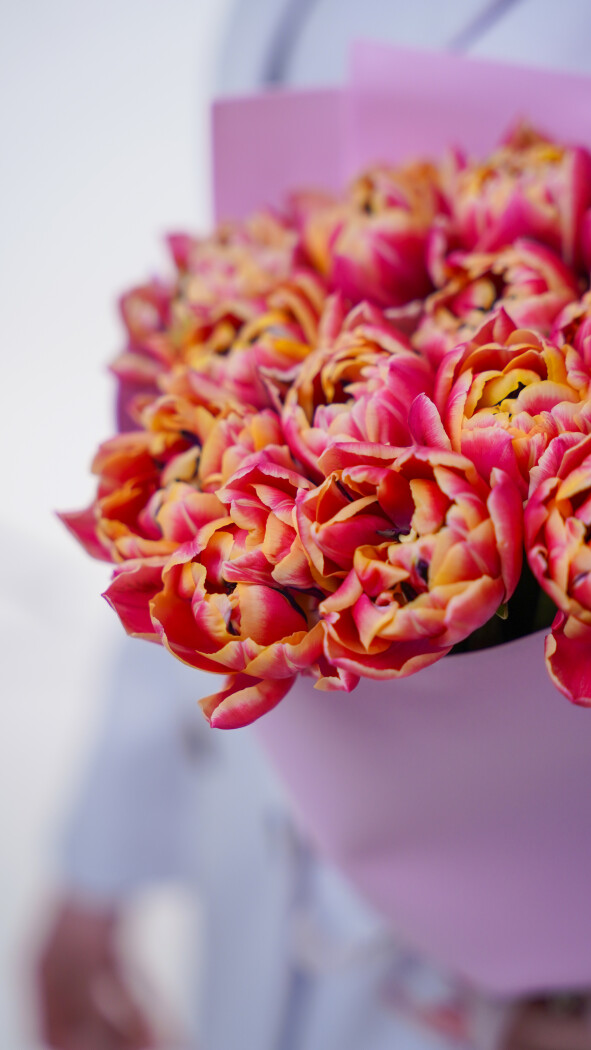 35 пионовидных тюльпанов в оформлении №360