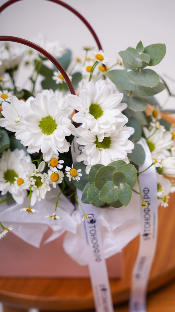 Композиция №279