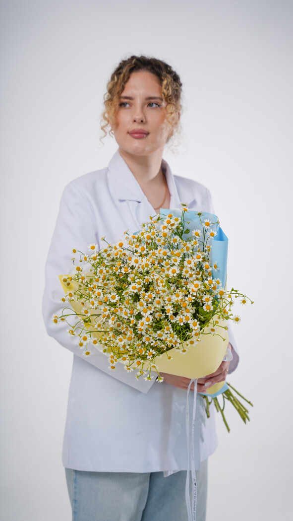 11 ромашек в оформлении №120