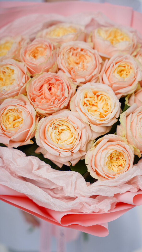 15 кремовых пионовидных роз в оформлении №3