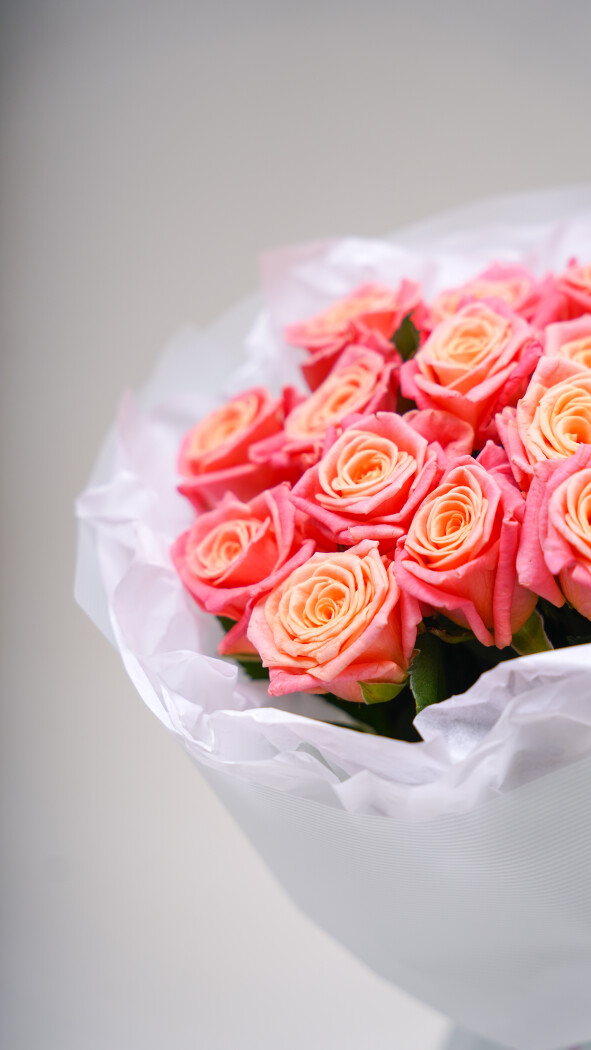 15 коралловых роз в оформлении №235