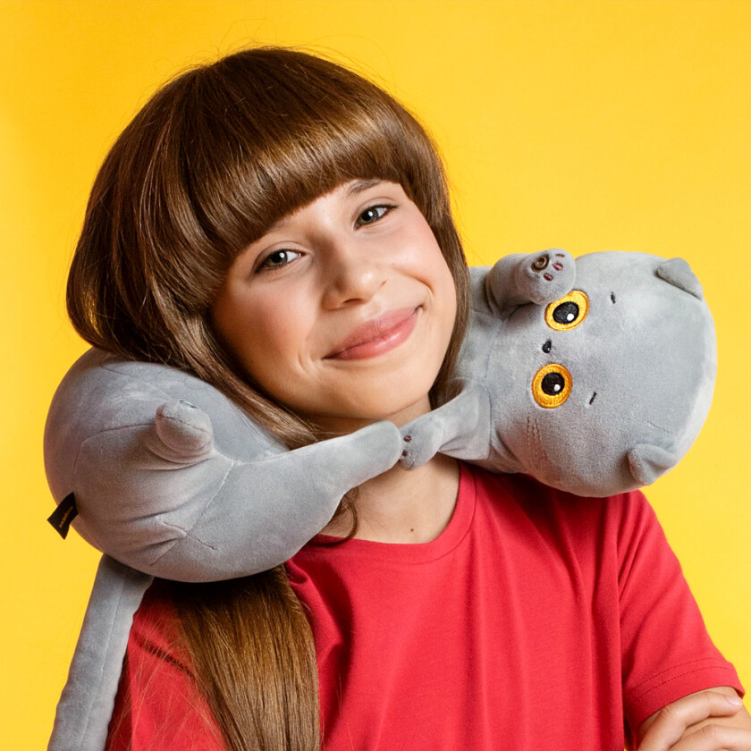 Kp60-162 Дорожная подушка Басик