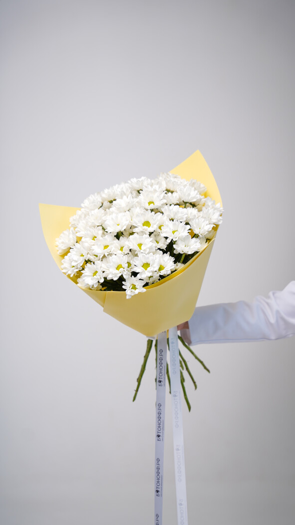11 белых ромашковых хризантем в оформлении №78