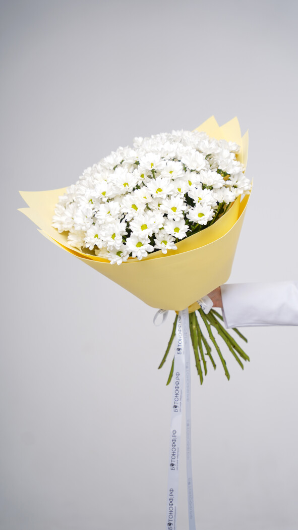 15 белых ромашковых хризантем в оформлении №79