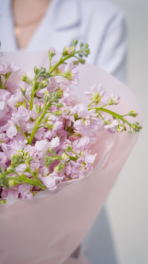 15 розовых маттиол в оформлении №127