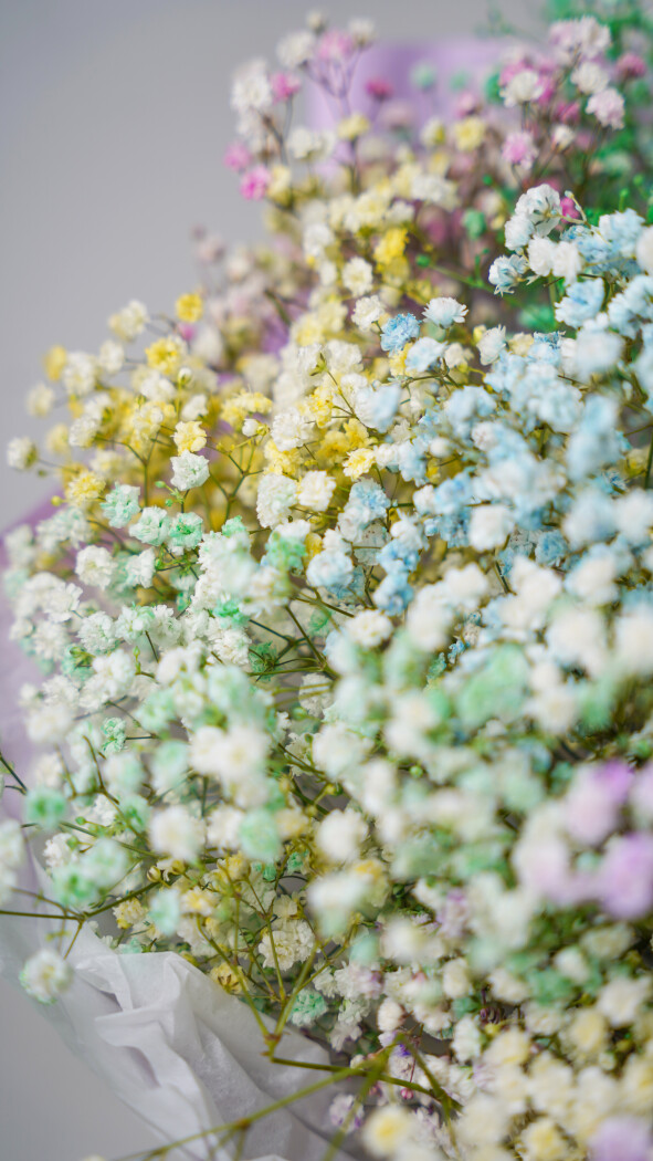 15 радужных гипсофил в оформлении №85