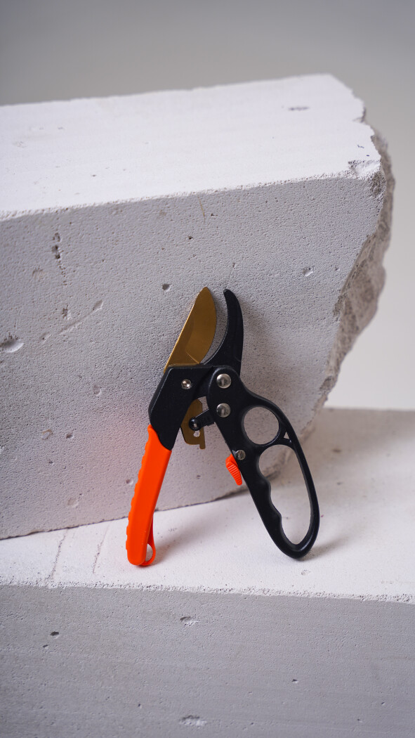 Секатор (садовый)