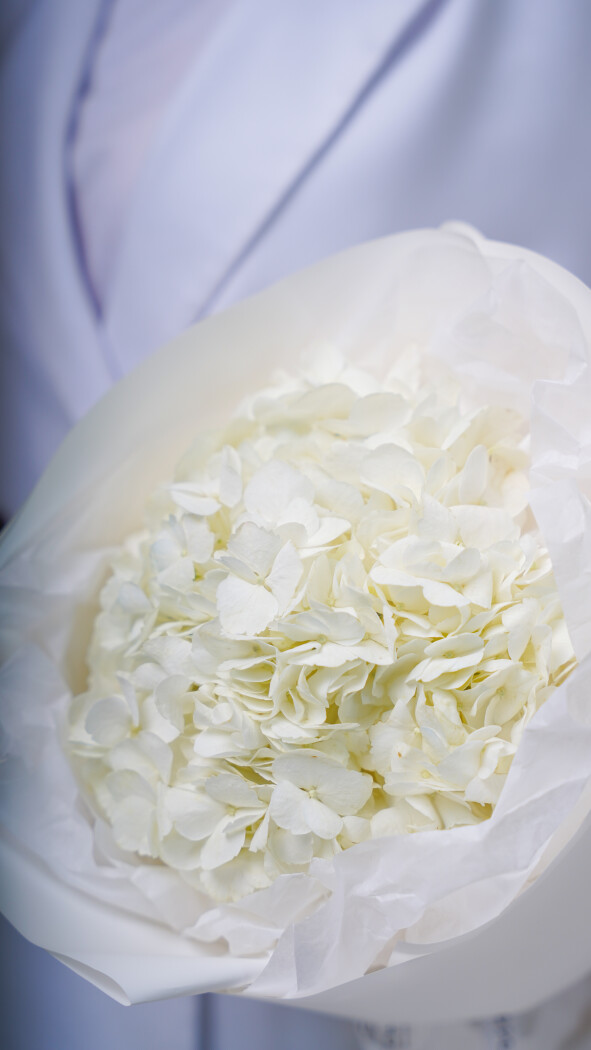 1 белая гортензия в оформлении №203