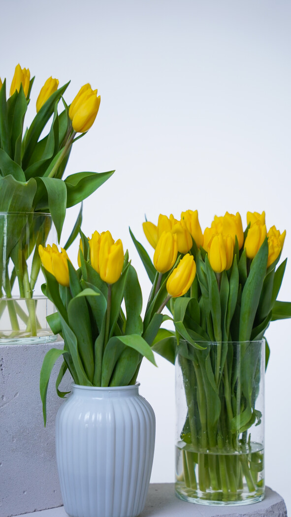 Охапка желтых тюльпанов №385