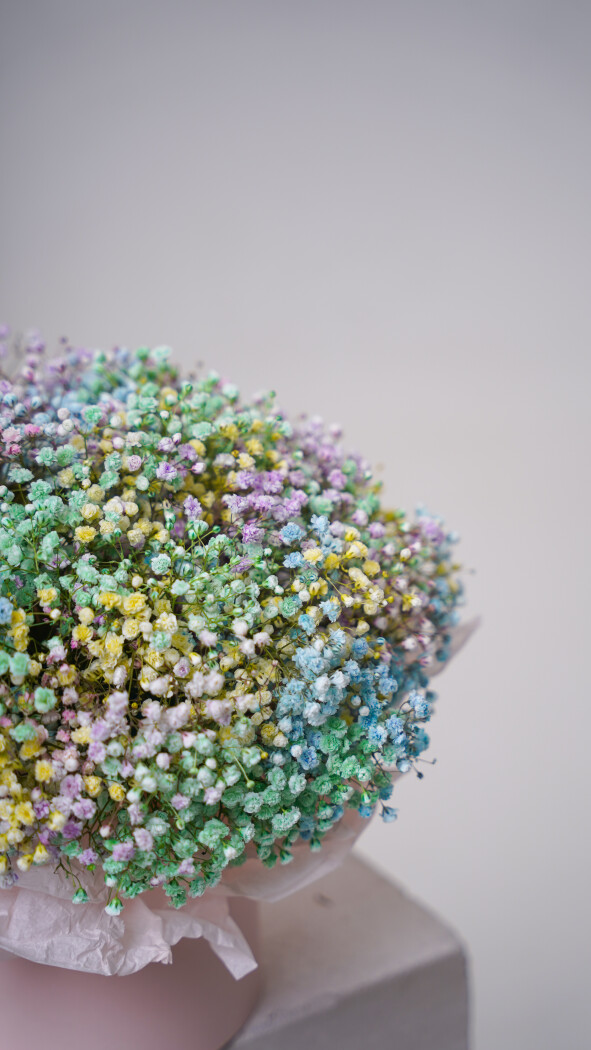 Композиция №215