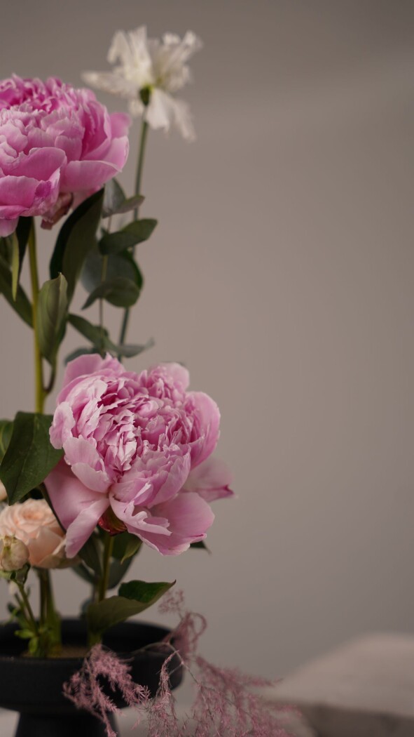 Композиция №348