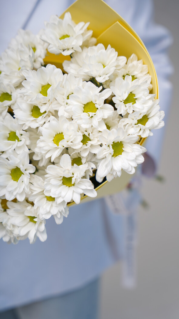 5 белых ромашковых хризантем в оформлении №76