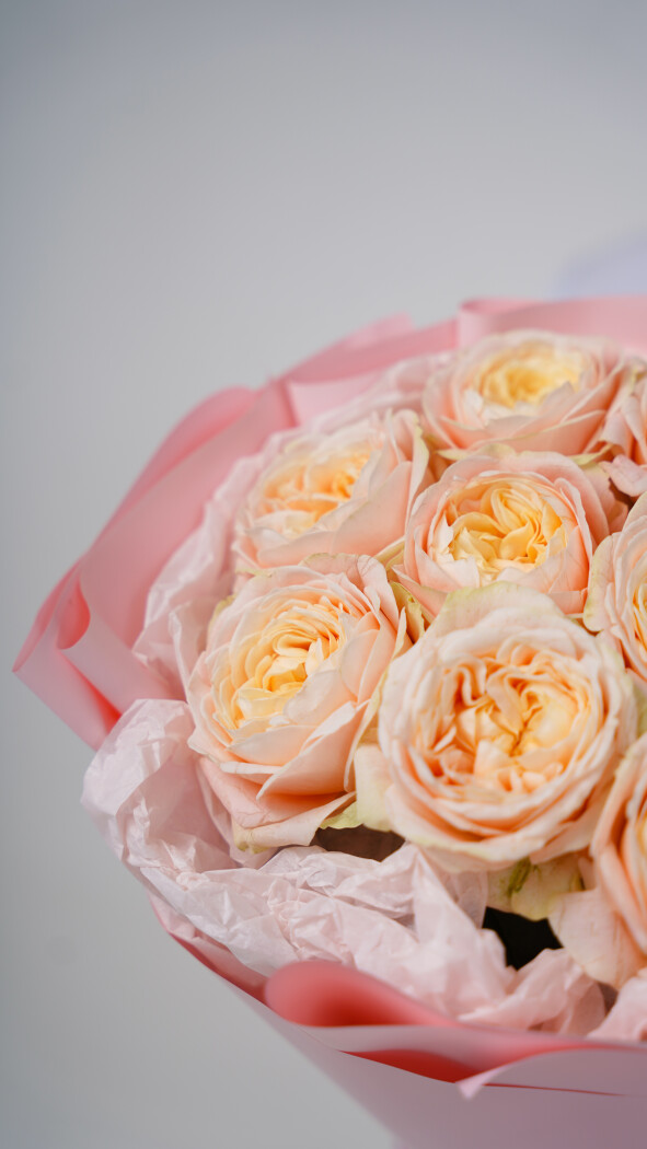 9 кремовых пионовидных роз в оформлении №2