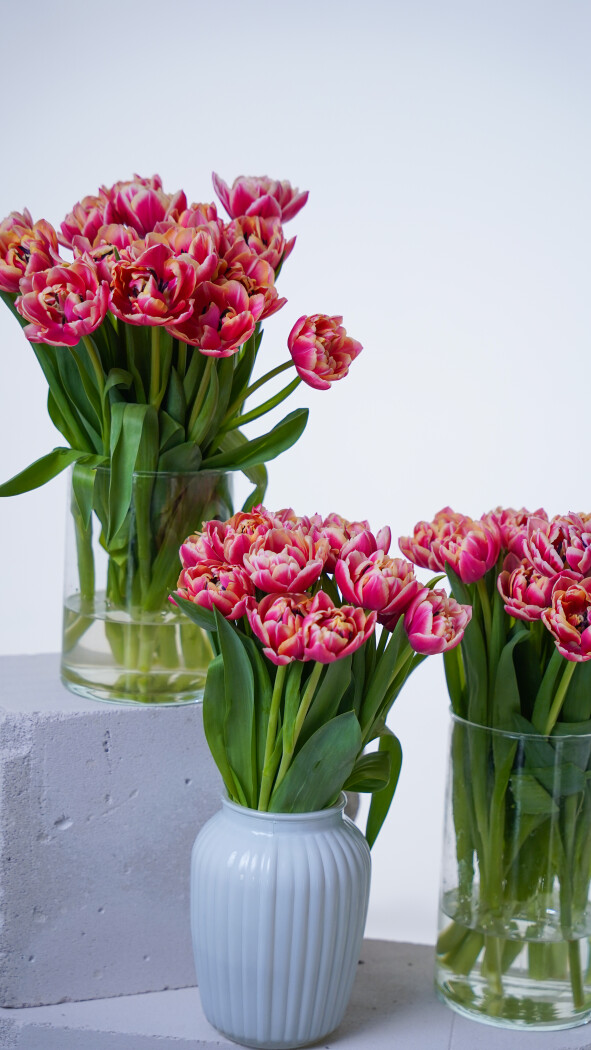 Охапка пионовидных тюльпанов №383